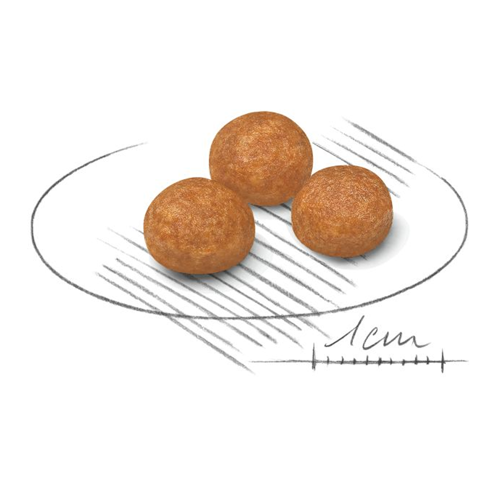 Royal Canin X Small Adult Dog Dry Food image 2