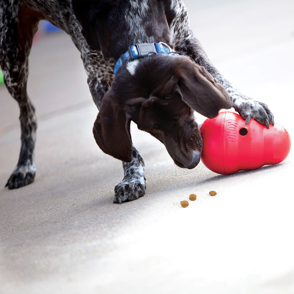 Kong Wobbler Toy for Dogs (Red) | For Aggressive Chewers image 5