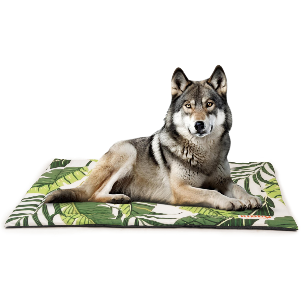 Kibbo Lightweight and Portable Mats for Dogs and Cats (Green) image 2