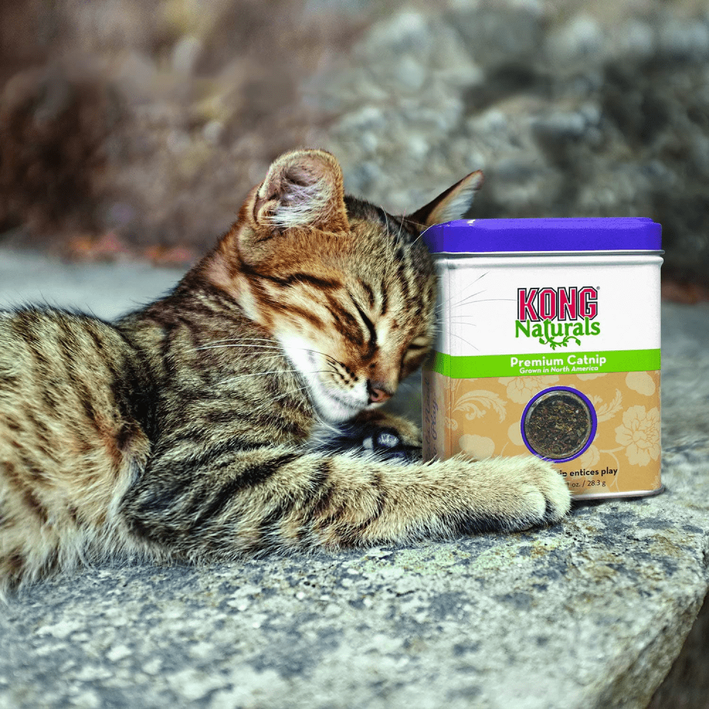 Kong Naturals Catnip for Cats image 3