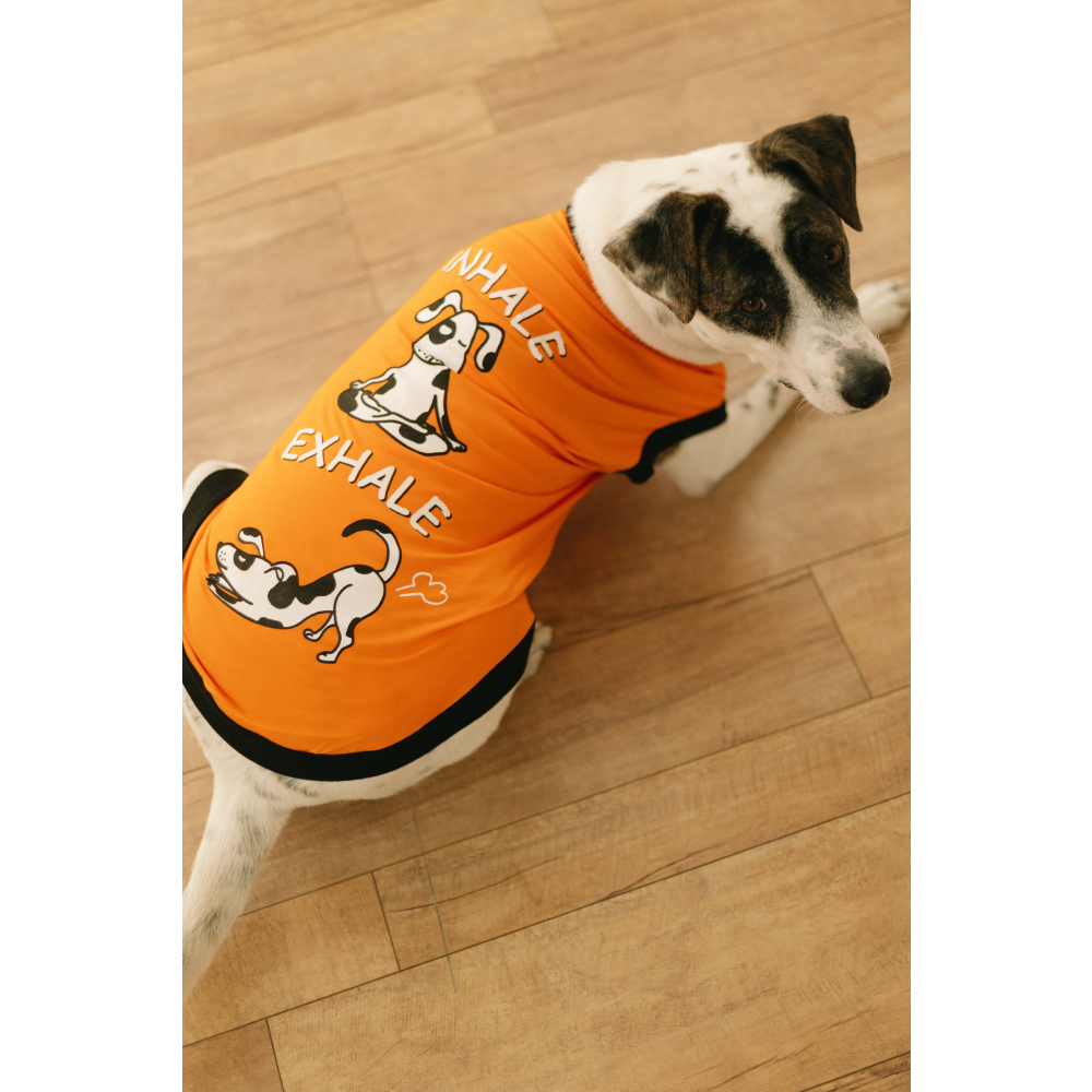 Pet Set Go Inhale Exhale T-shirt for Dogs (Orange) image 2