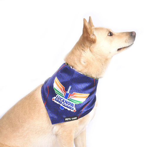 Pets Way Lucknow Super Guards IPL Bandana for Dogs and Cats (Blue) | Indian Pet League image 1