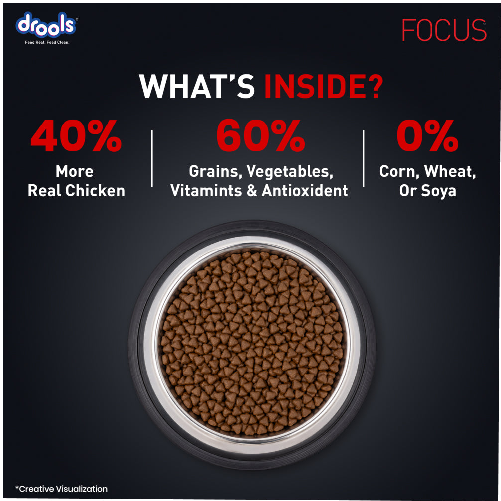 Drools Focus Super Premium Puppy Dog Dry Food | Corn & Wheat Free Formula image 10
