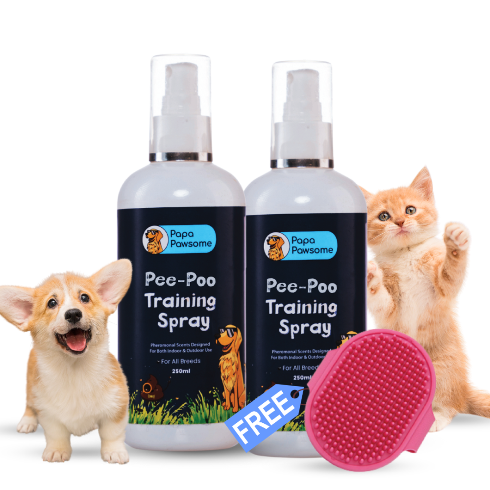 Papa Pawsome Pee Poo Potty Training Spray and Assorted Brush or Toy for Dogs and Cats