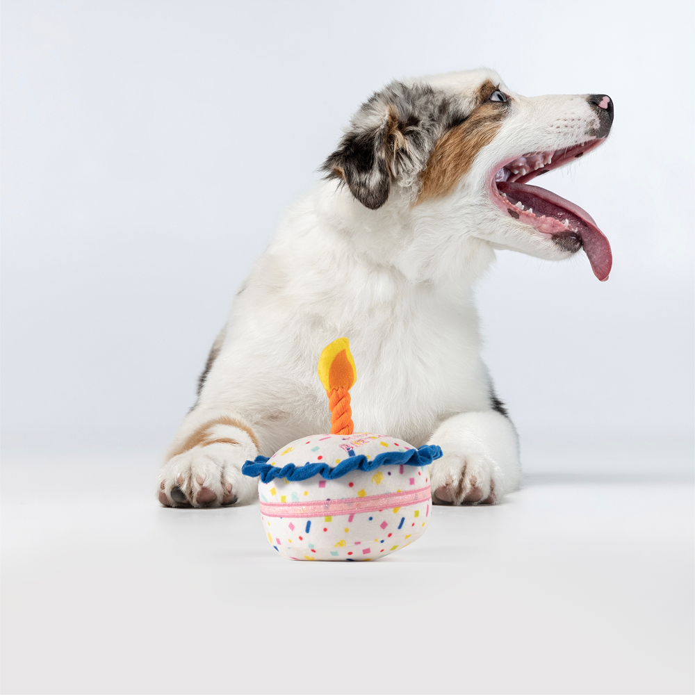 Barkbutler x Fofos Birthday Cake Plush Toy for Dogs image 8