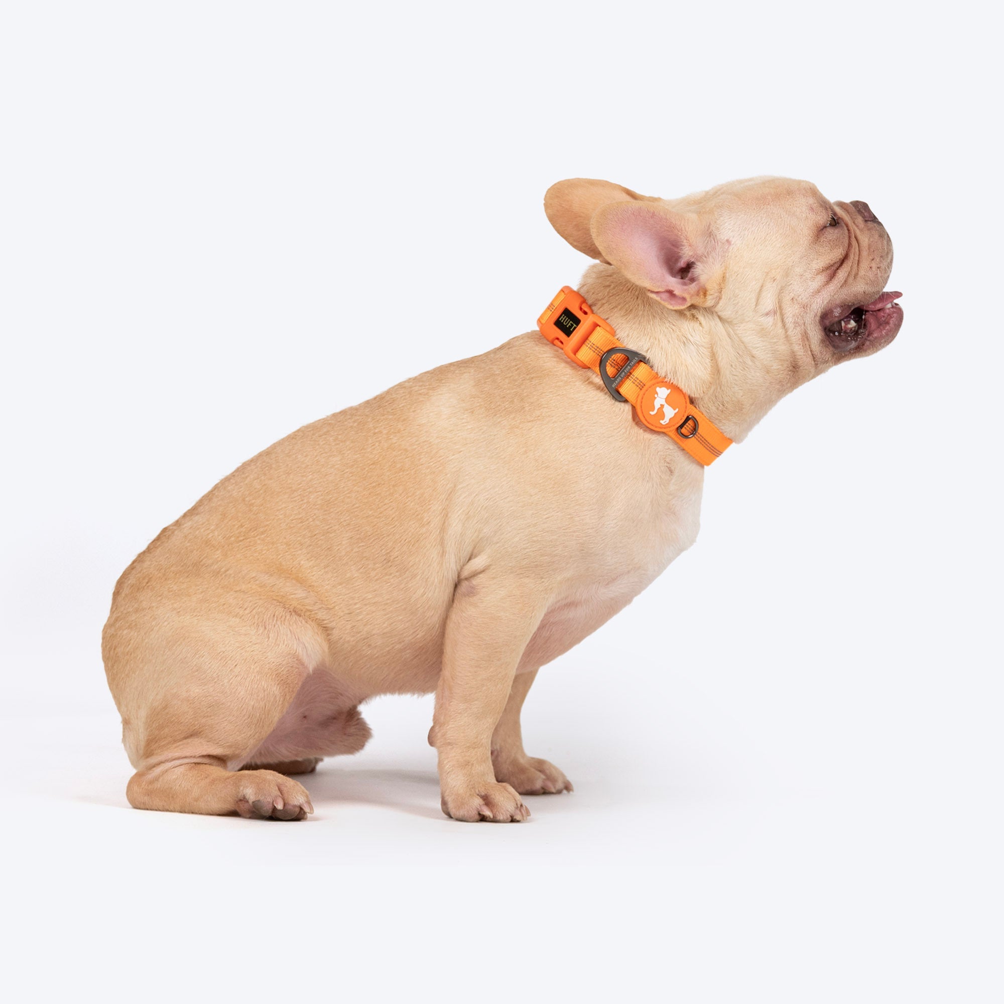 HUFT Xplorers Collar for Dogs (Orange) image 4