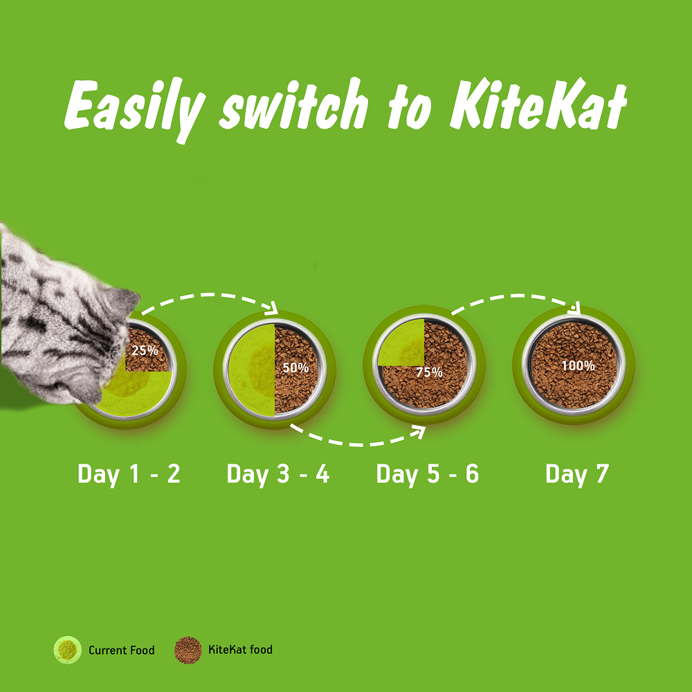 Kitekat Ocean Fish Adult Cat Dry Food image 10