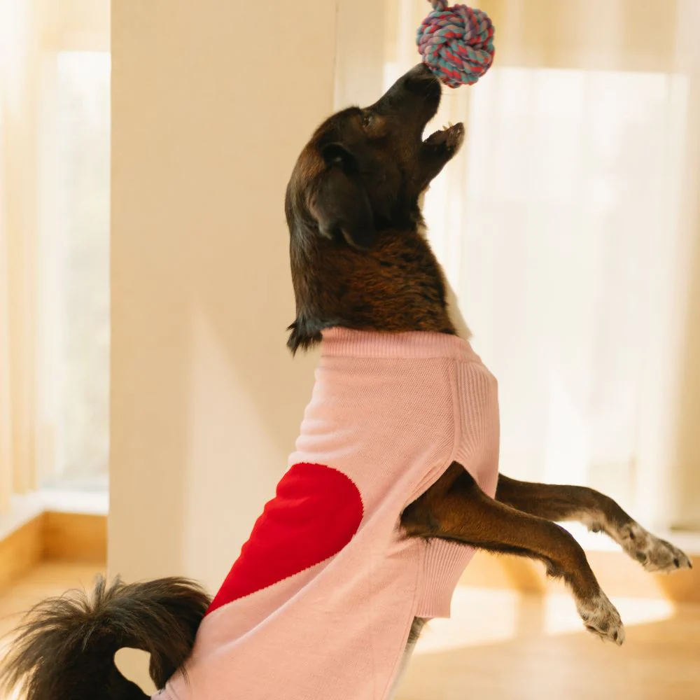 Pet Set Go Ira’s Sweater for Dogs and Cats (Red & Pink) image 3