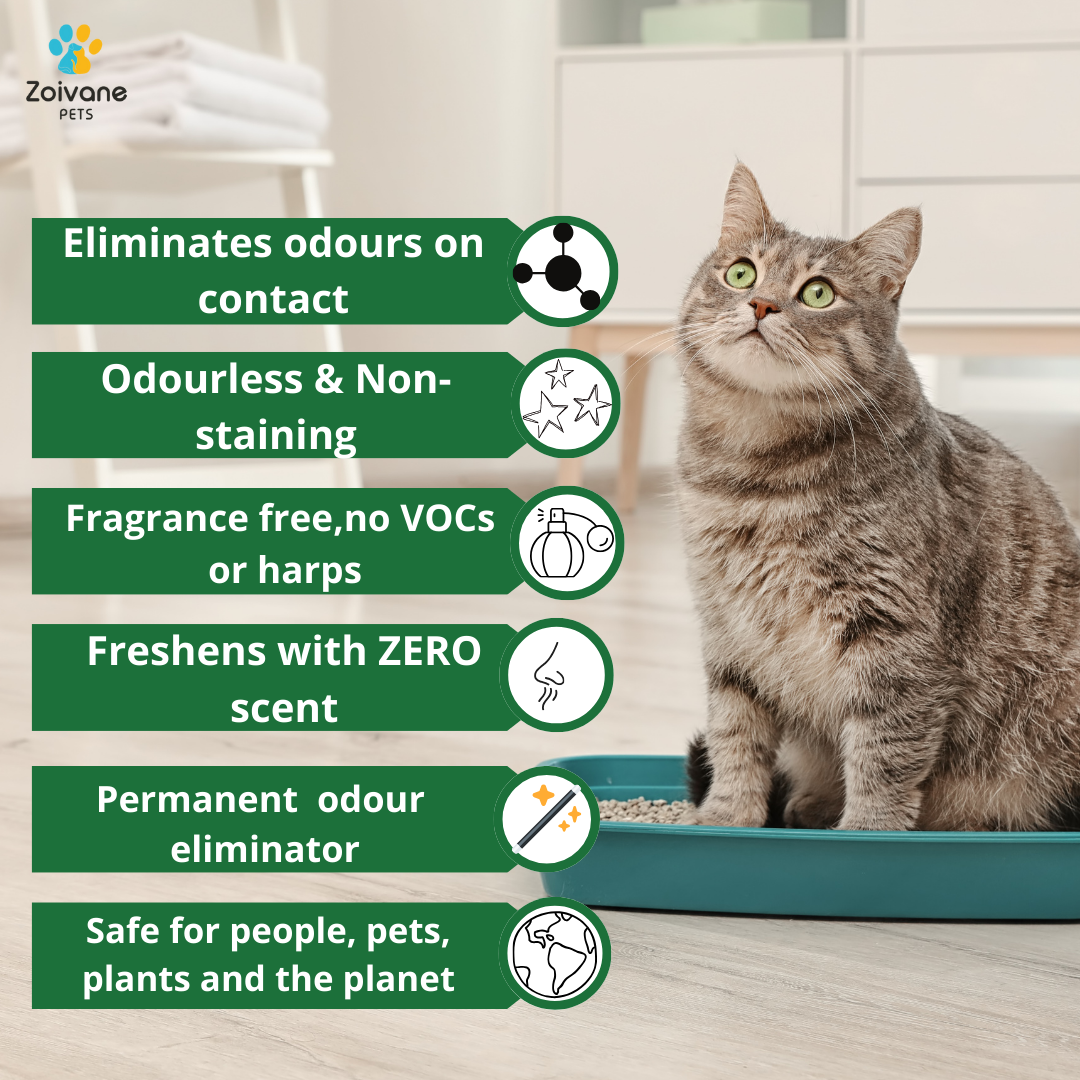 Zoivane  Pets Odour Eliminator for Dogs and Cats image 2