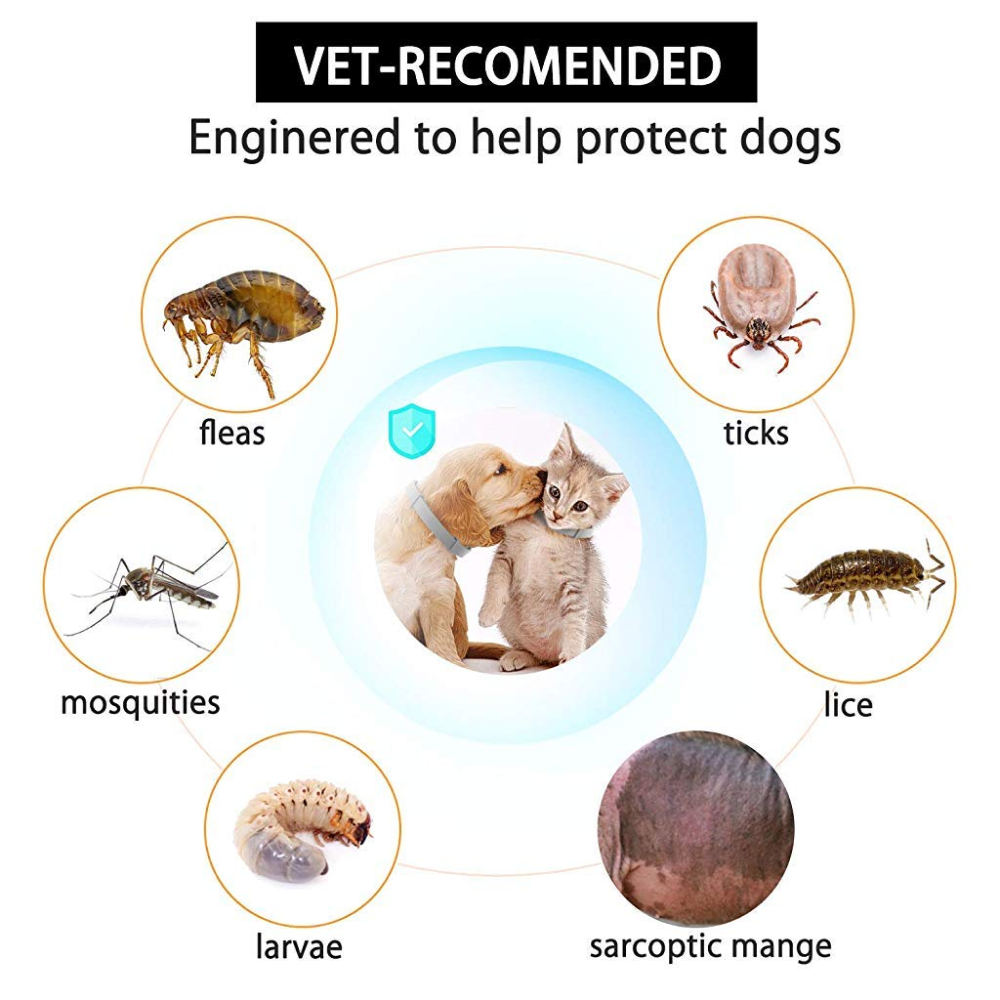 QPets Adjustable Waterproof Tick & Flea Collar for Dogs and Cats (Grey) image 3