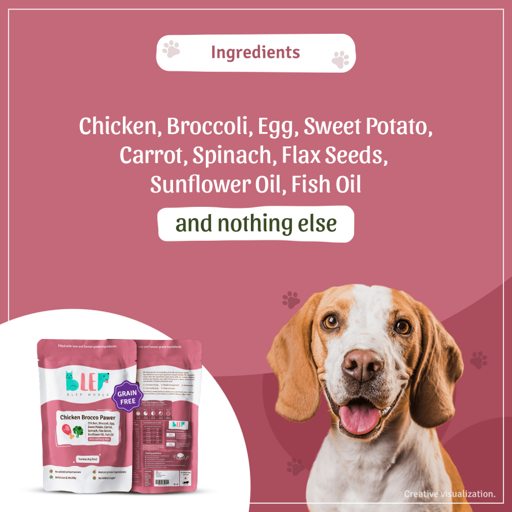 BLEP Chicken Brocco Pawer Dog Wet Food (300g) image 2