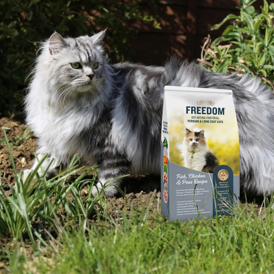 Signature Freedom Fish, Chicken and Peas Recipe Persian Cat Dry Food (50g) image 6