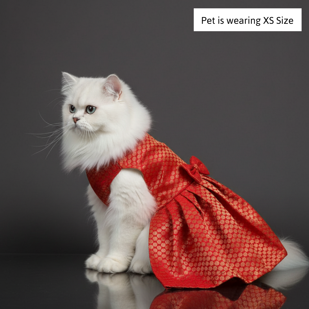 Skatrs Brocade Gold Printed Dress for Dogs and Cats (Red) image 7