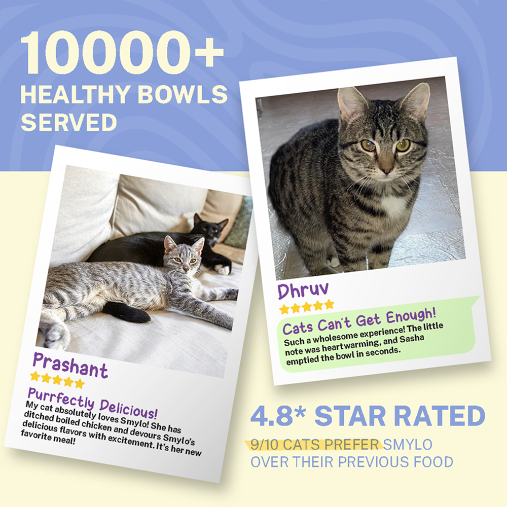 Smylo Adult Chicken Tuna & Rosemary, Fresh & No-Preservative Wet Cat Food image 6