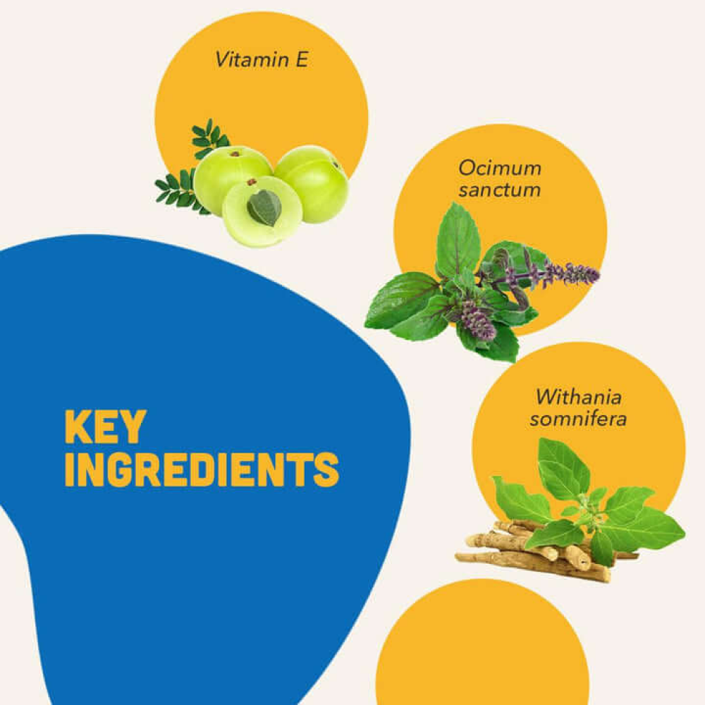 Natural Remedies Natlife Energy & Immunity Supplement Paste for Dogs and Cats image 4