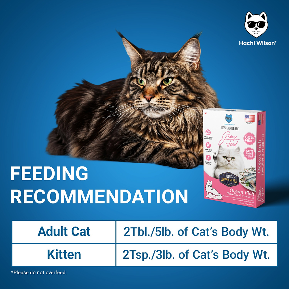 Hachi Wilson Premium Ocean Fish Sardine and Mackerel Gravy Cat Wet Food image 4