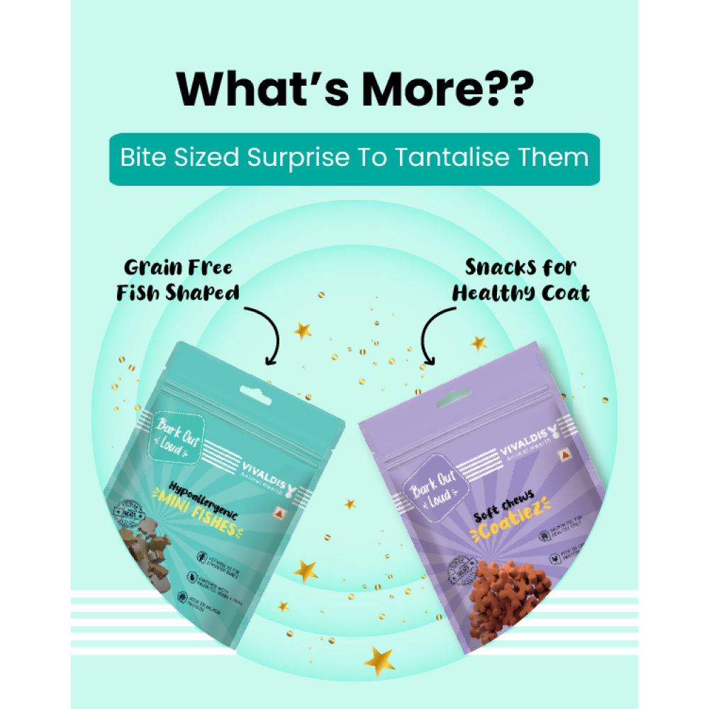 Bark Out Loud Premium Treat Box Chicken and Fish Dog Treat image 5