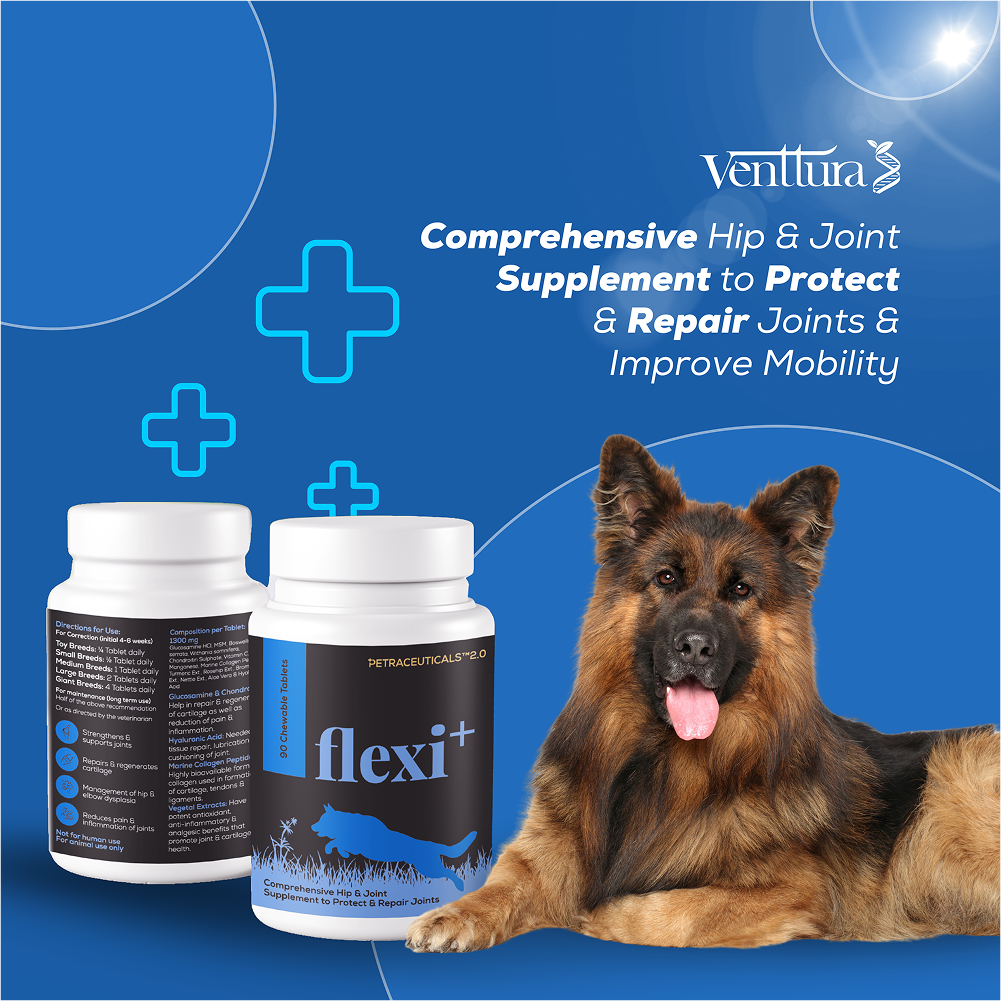 Venttura Flexi Plus Hip and Joint Chewable Tablets for Dogs image 7