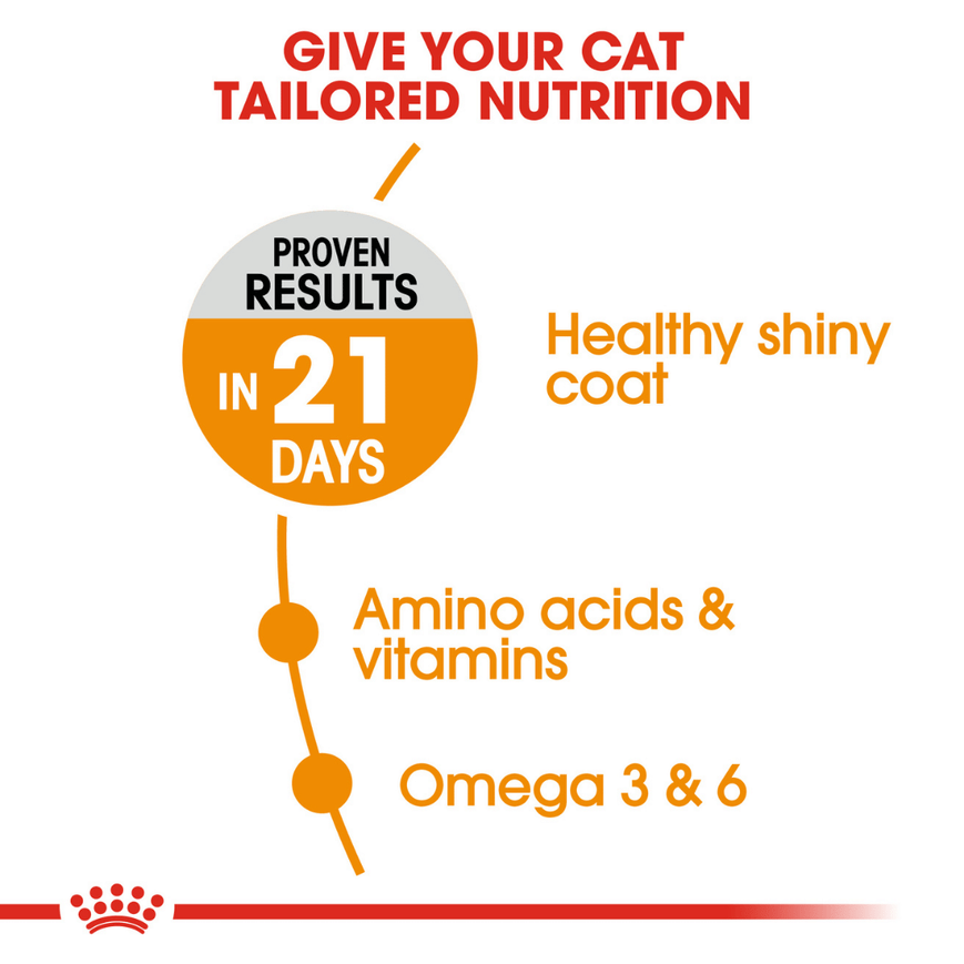 Royal Canin Hair & Skin Care and Persian Adult Cat Dry Food Combo image 6