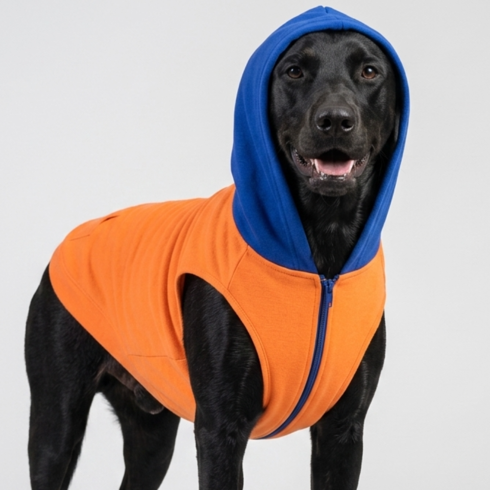 Skatrs Sunset Splash In-Style Hoodie For Dogs and Cats (Orange & Blue) image 4