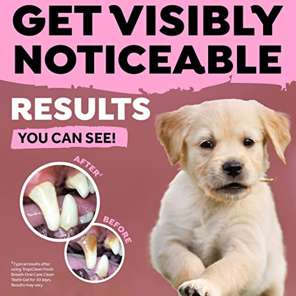 Tropiclean Fresh Breath Puppy Clean Teeth Gel for Dogs image 8
