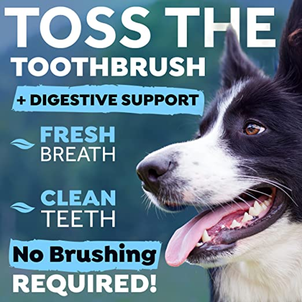 Tropiclean Fresh Breath Digestive Support Water Additive for Dogs image 3