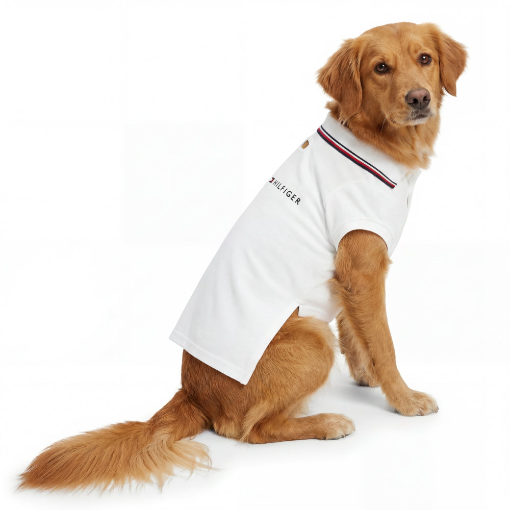 Tommy Hilfiger Heritage Polo Tshirt for Dogs (Optic White)