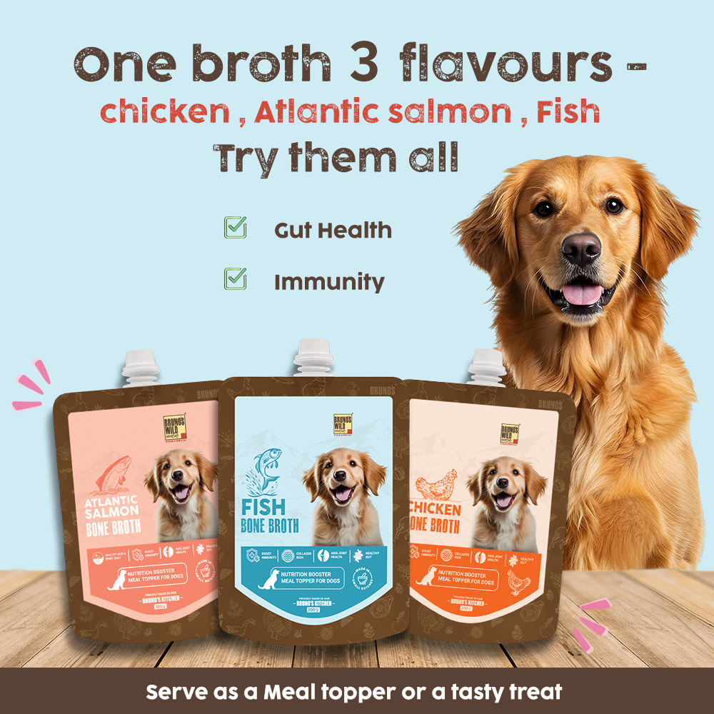 Bruno's Wild Essentials Fish Bone Broth For Dogs image 6