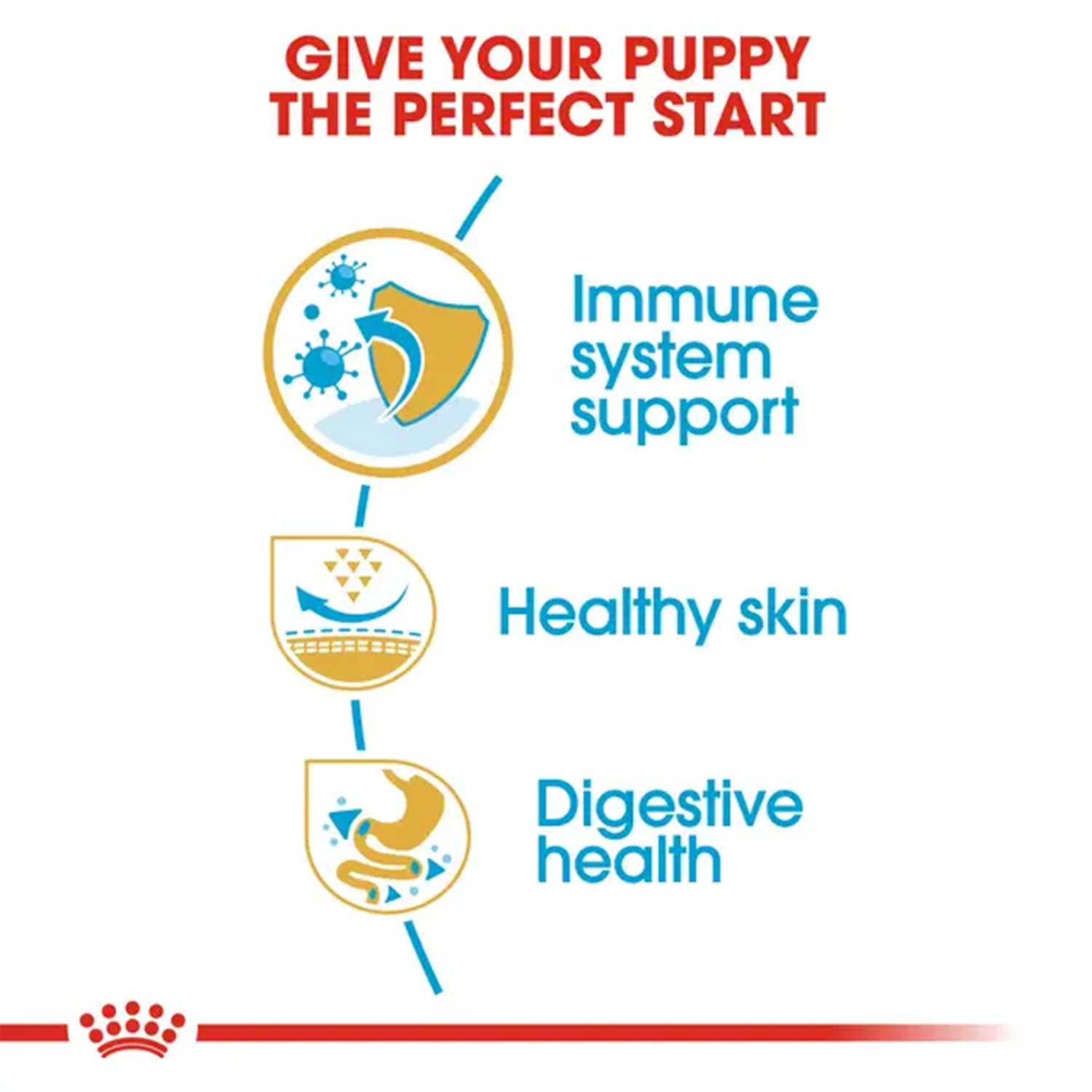 Royal Canin Pug Junior Dog Dry Food image 2