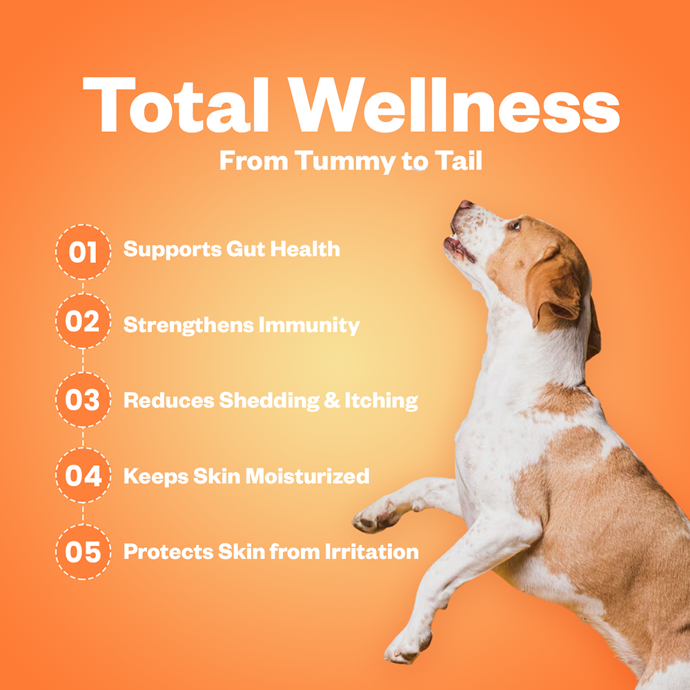 TailsAlive Probiotic Chicken Flavor and Skin & Coat Soft Chews Supplements for Dogs image 8