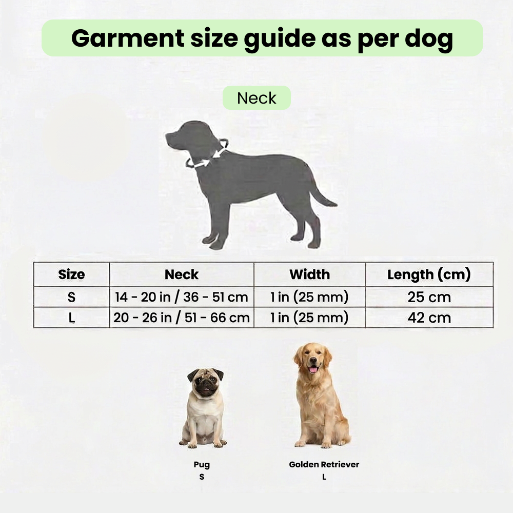 Ruffwear Confluence Waterproof Collar for Dogs (Red Sumac) image 8