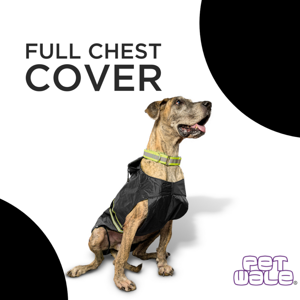 PetWale Reflective Raincoat for Dogs (Black) image 3