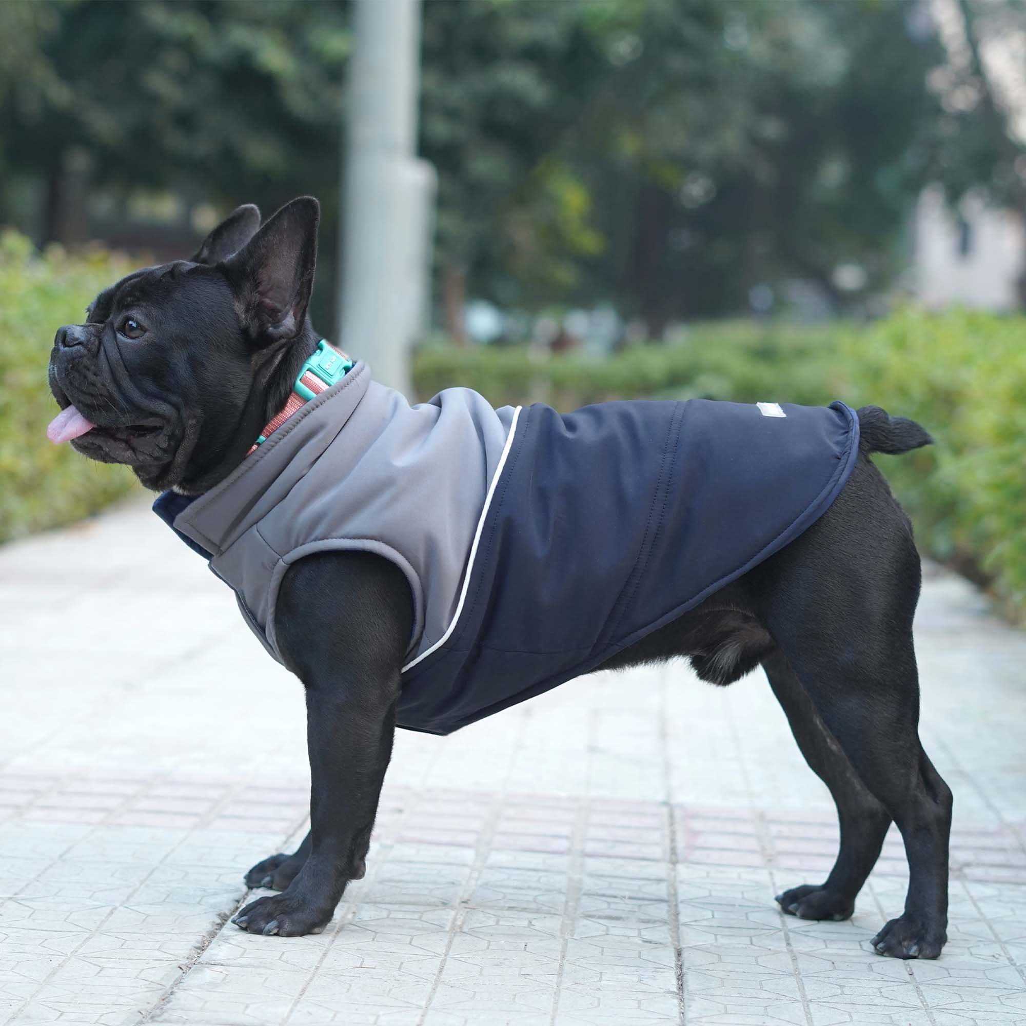 Pets Way Frost Winter Jacket for Dogs (Navy)