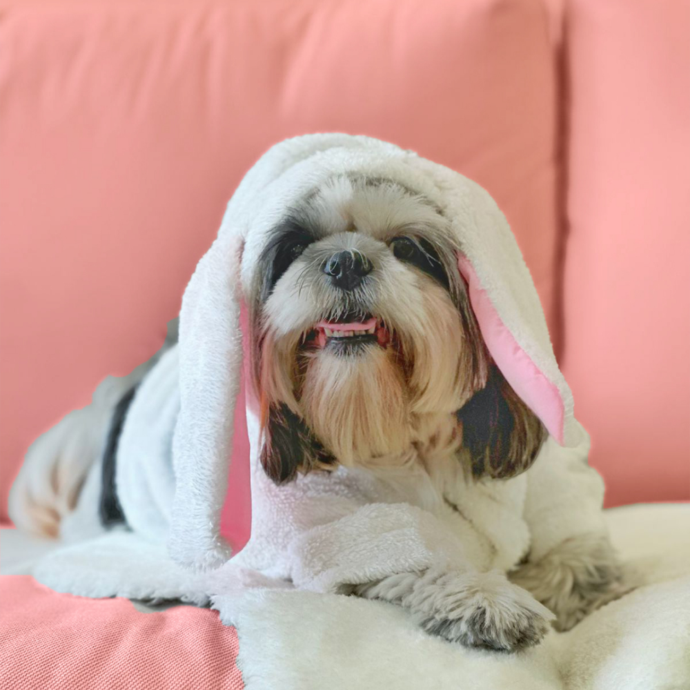 Dogobow Bunny Hoodie for Dogs and Cats (White) (Get a Bow Free) image 3