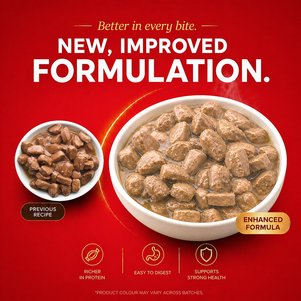 Drools Real Chicken & Chicken Liver Chunks in Gravy Puppy Dog Wet Food image 5