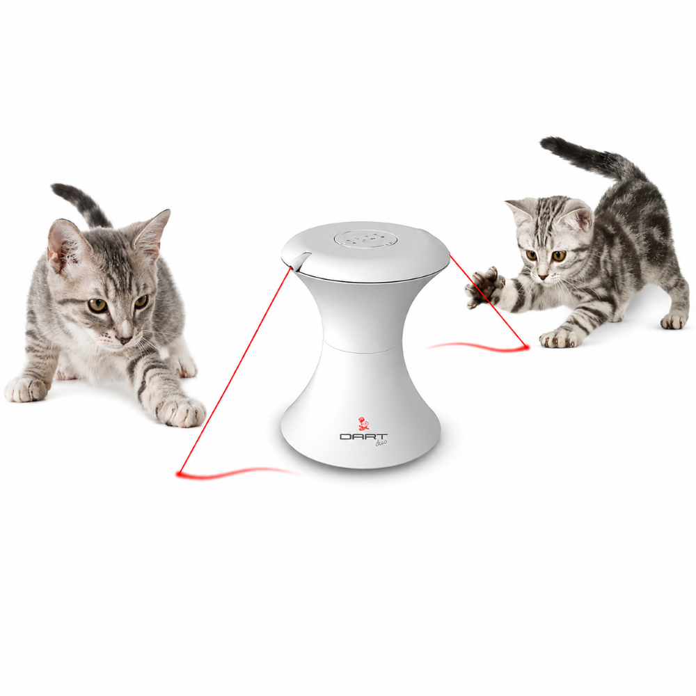 PetSafe FroliCat Dart Automatic Rotating Laser Toy for Cats image 4