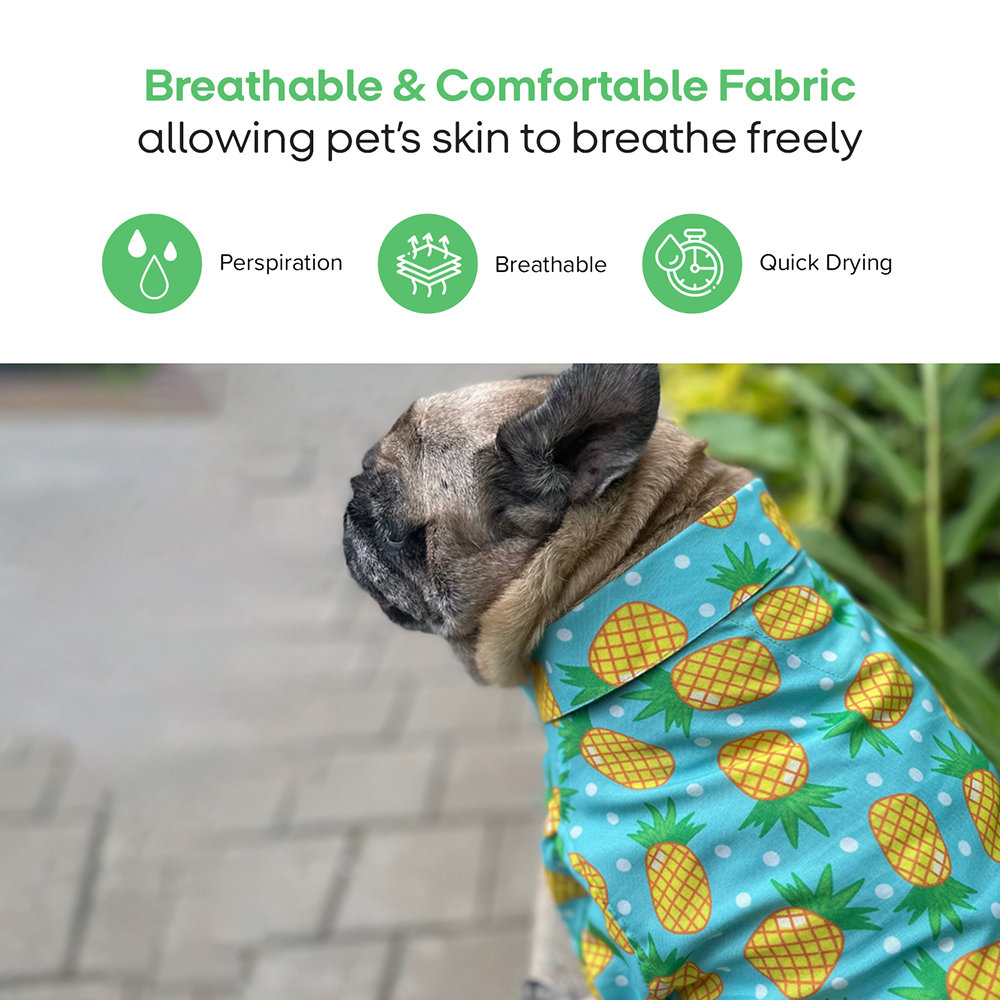 15buttons Pineapple Polka Shirt for Dogs image 4