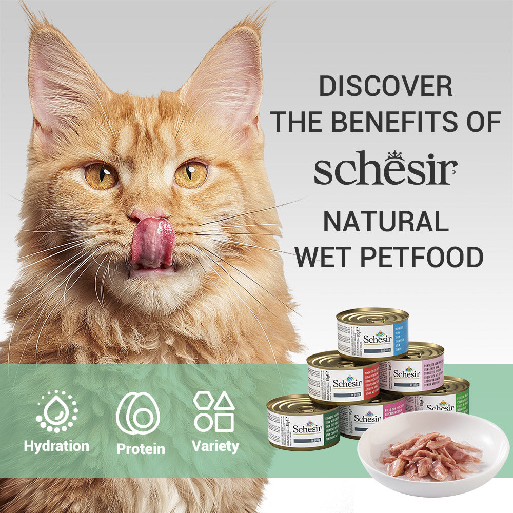 Schesir Tuna In Jelly with Whitebaits Adult Cat Wet Food image 5
