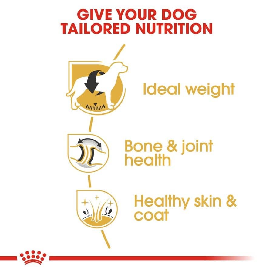 Royal Canin Labrador Retriever Adult Dog Dry Food image 4