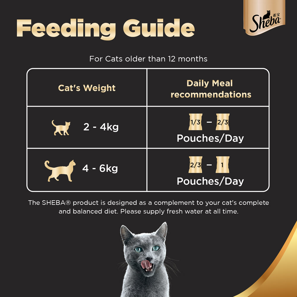 Sheba Chicken Loaf and Tuna Pumpkin & Carrot In Gravy Rich Premium Adult Fine Cat Wet Food Combo image 7