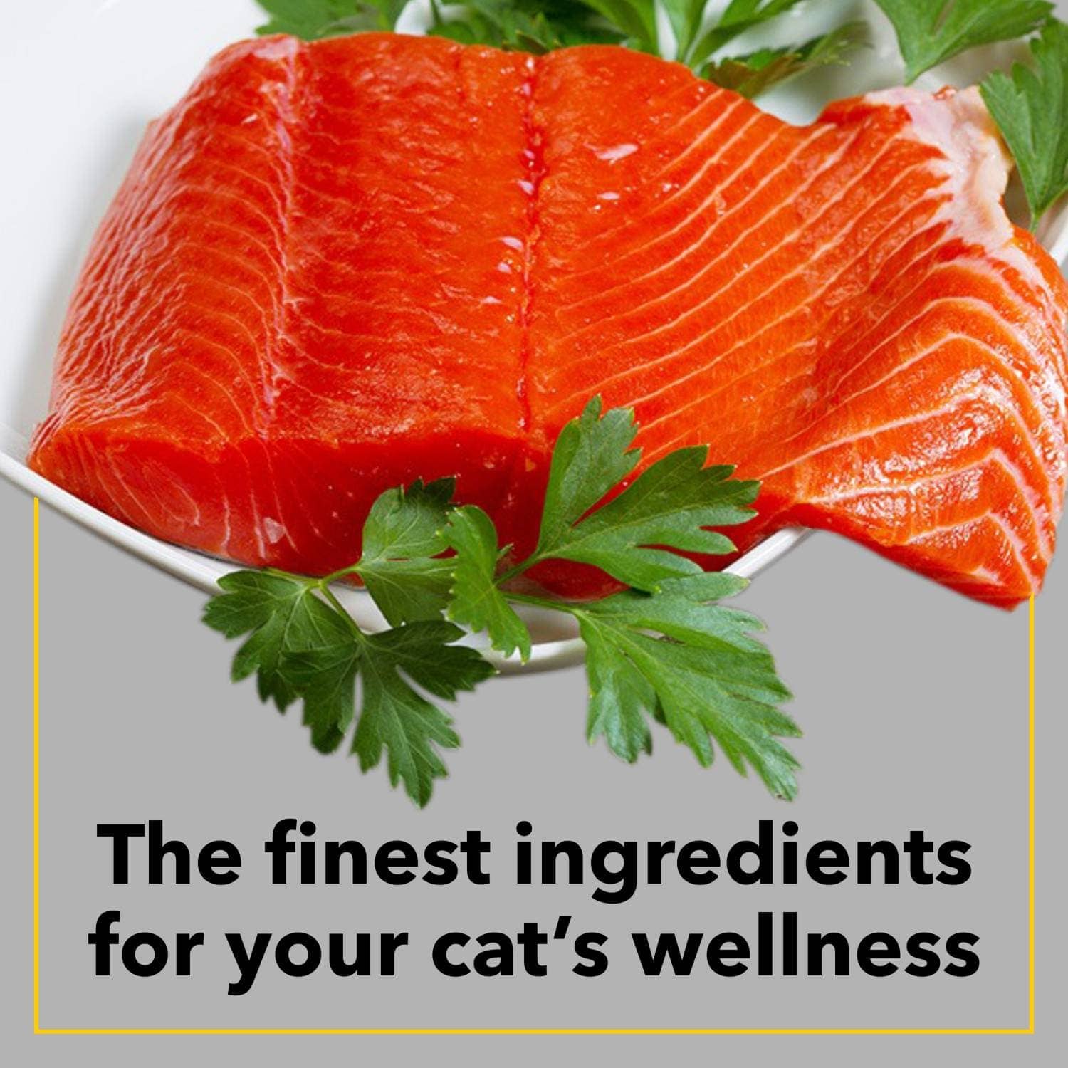 Purepet Seafood Adult Cat Dry Food image 5