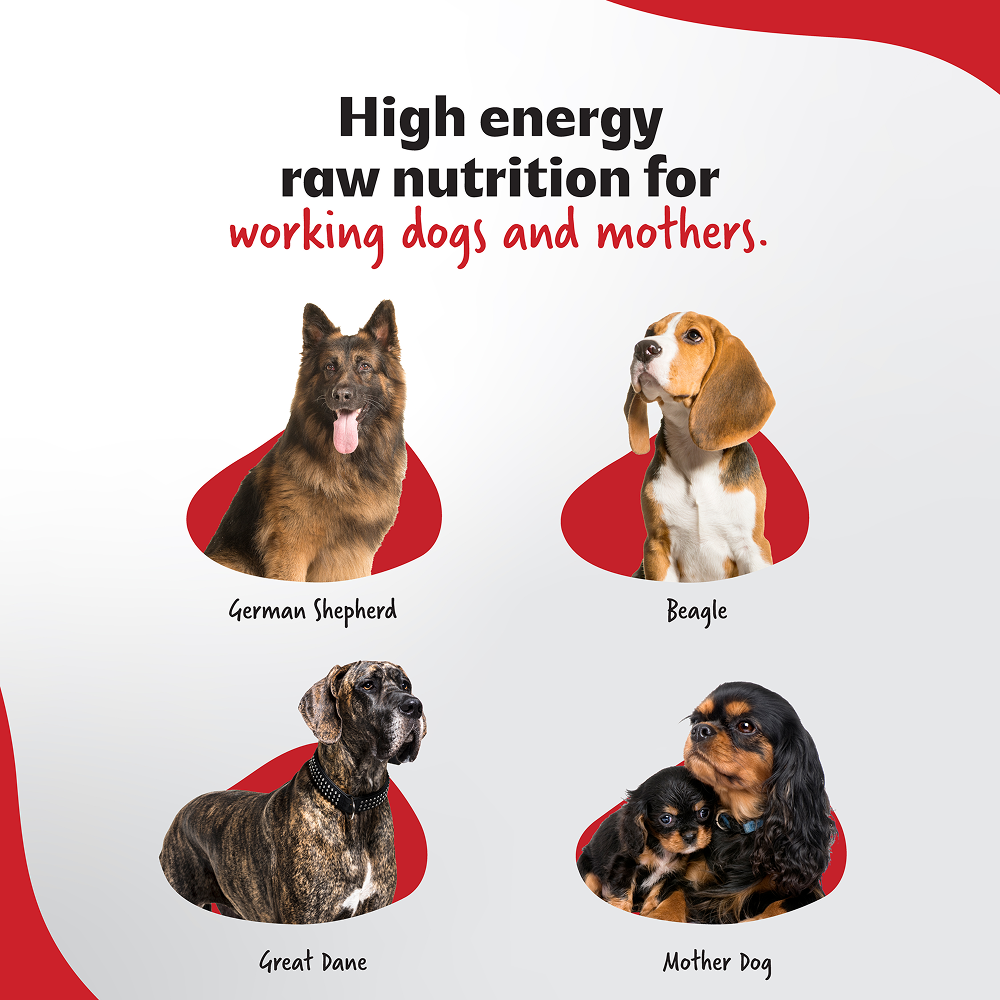 Right4Paws Ultimate Diet Energy+ Adult Dog Dry Food image 4