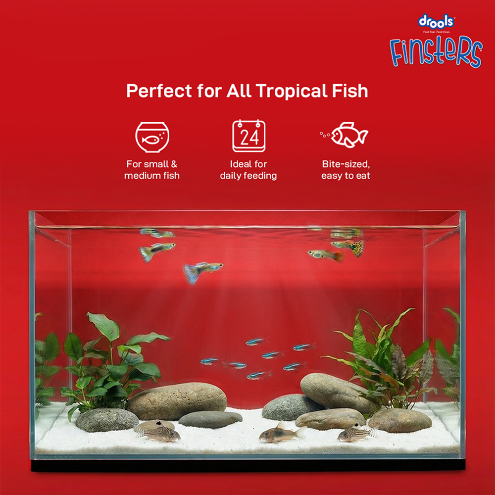 Drools Finsters Bits Fish Food image 10