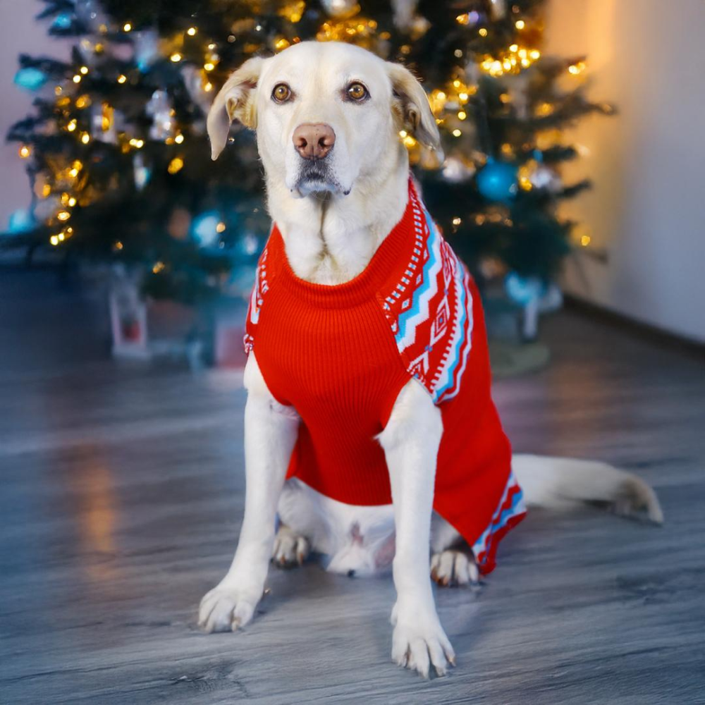 Dogobow Aztec Knit Sweater for Dogs and Cats (Red) (Get a Bow Free) image 1