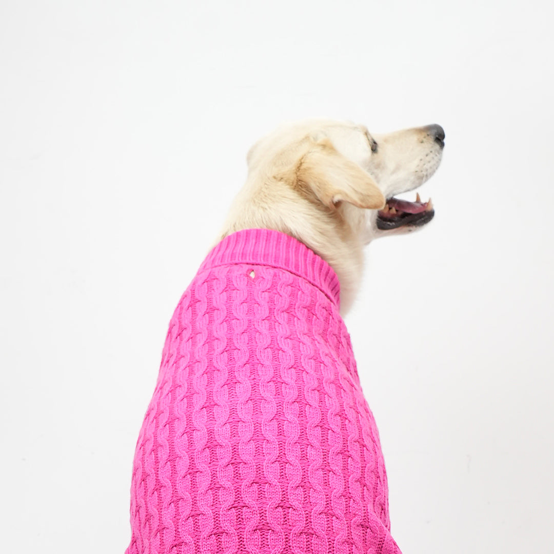 Skatrs Hot Pink Sweater For Dogs and Cats image 10