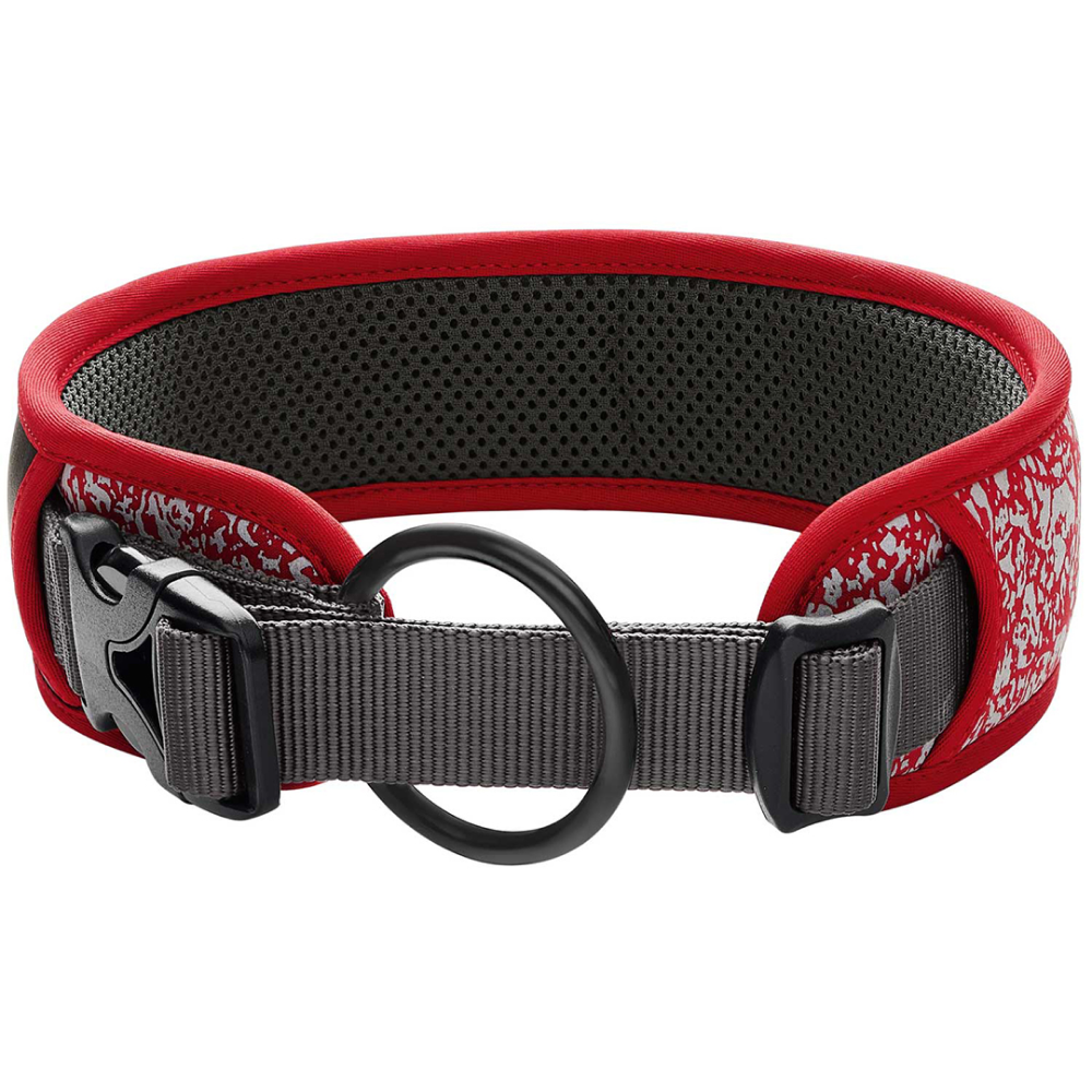 Hunter Divo Reflect Collar for Dogs (Red) image 4