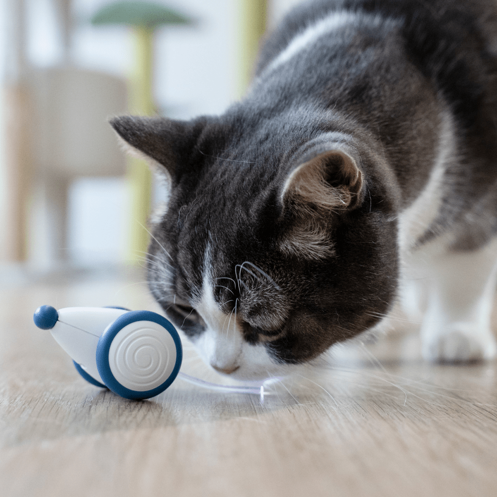 Cheerble Wicked Mouse Interactive Toy for Cats (Blue) image 7