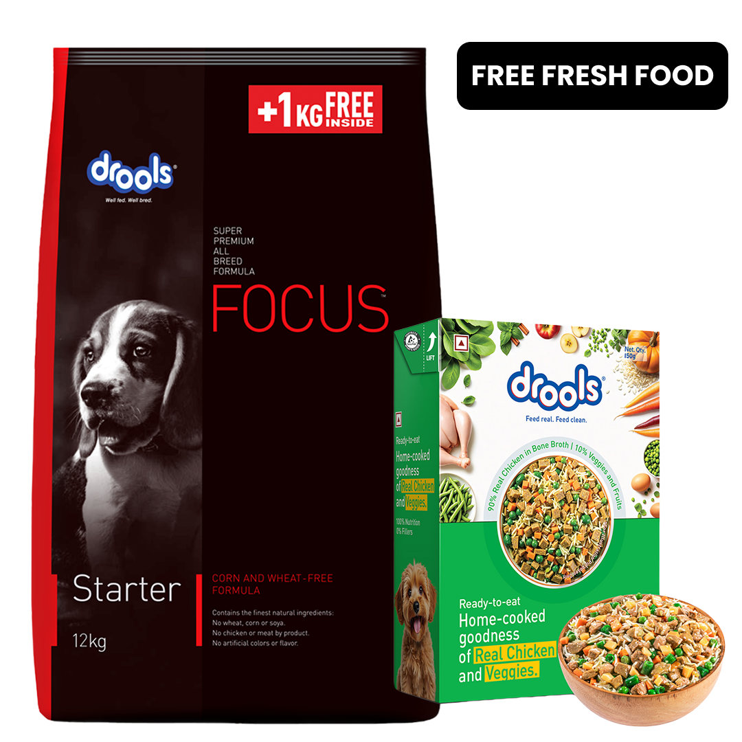 Drools Focus Super Premium Starter Dog Dry Food | Corn & Wheat Free Formula image 2