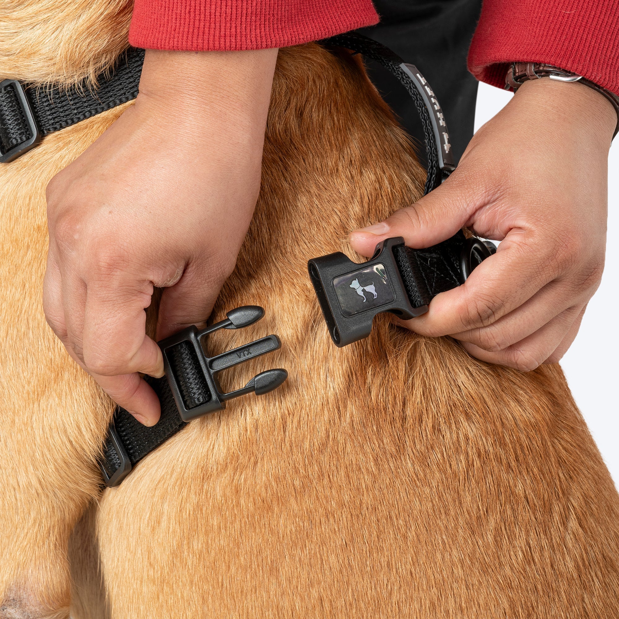 HUFT Classic H Harness for Dogs (Coral Black) image 6