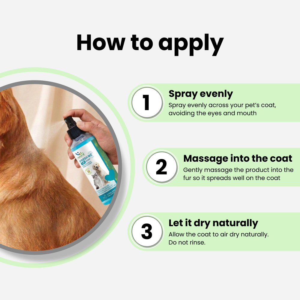 Natural Remedies Fresh Me Up Bloom Dry Shampoo for Dogs and Cats image 7